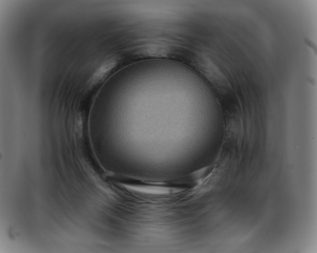 X0000097660120200803071541
