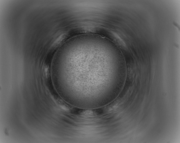X0000097660123200803071541