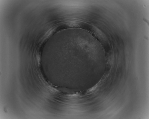 X0000097660124200803071541