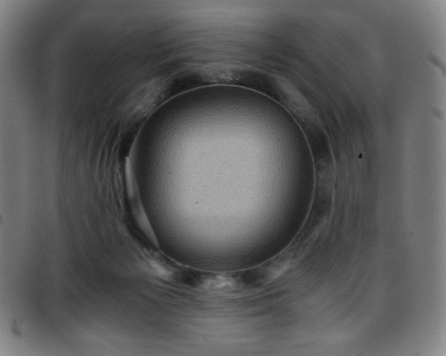 X0000097660125200803071541
