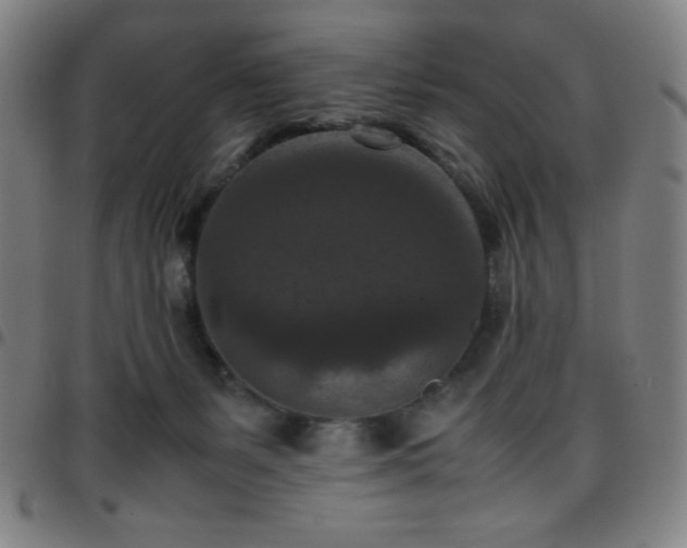 X0000097660127200803071541