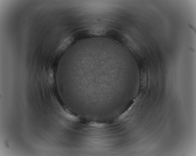 X0000097660128200803071541