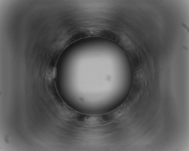 X0000097660129200803071541