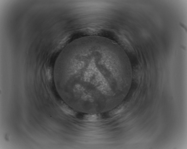 X0000097660131200803071541
