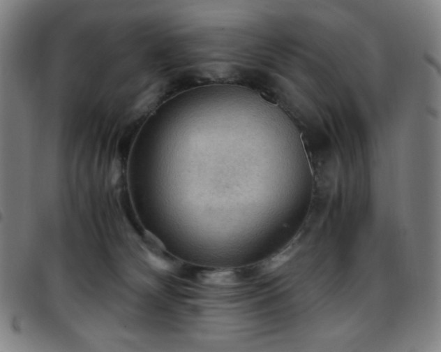 X0000097660132200803071541