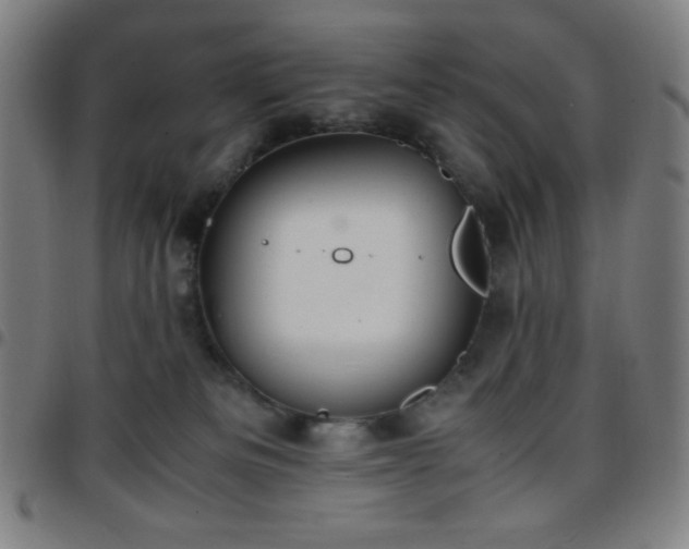 X0000097660133200803071541