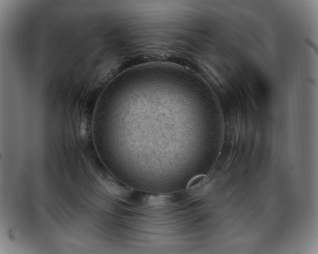 X0000097660134200803071541