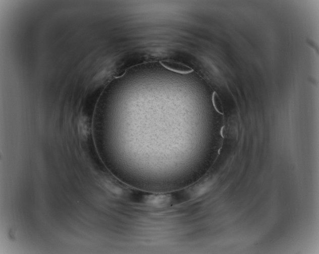 X0000097660135200803071541