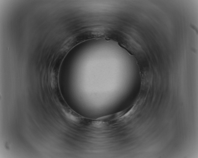 X0000097660136200803071541