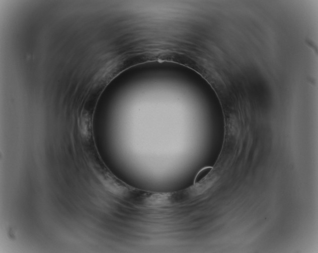 X0000097660138200803071541