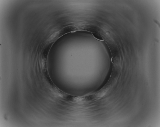X0000097660139200803071541