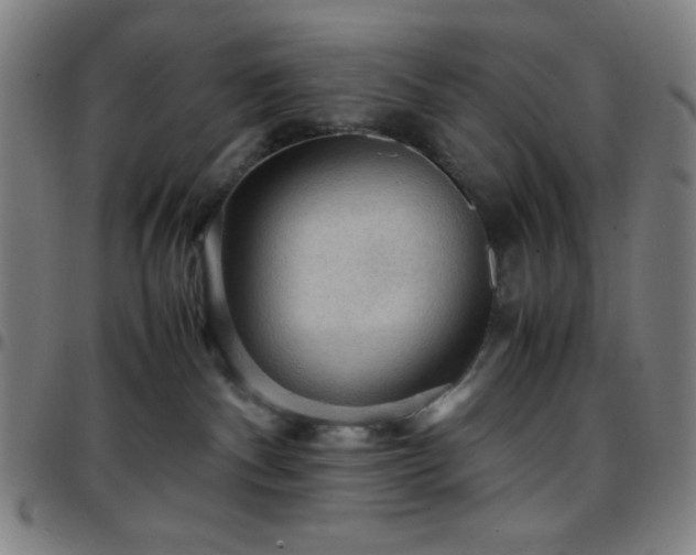 X0000097660140200803071541
