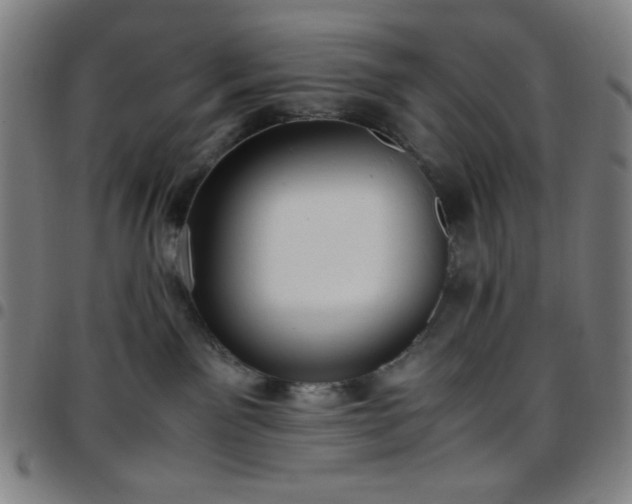 X0000097660141200803071541