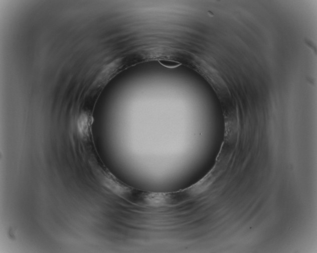X0000097660142200803071541