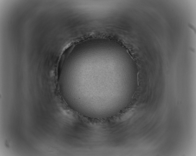 X0000097660144200803071541