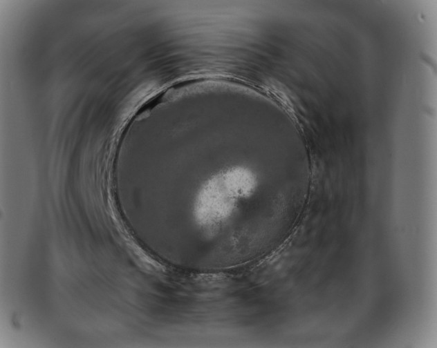 X0000097660145200803071540