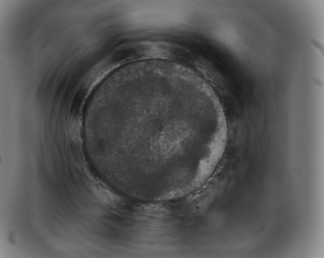 X0000097660146200803071540