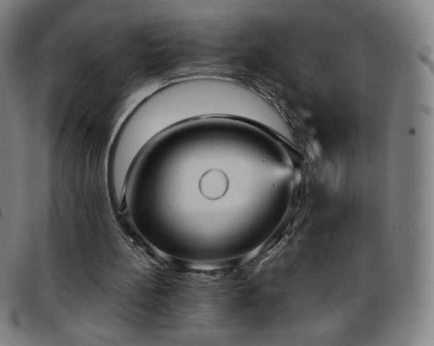 X0000097660148200803071540