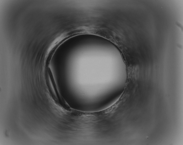 X0000097660150200803071540