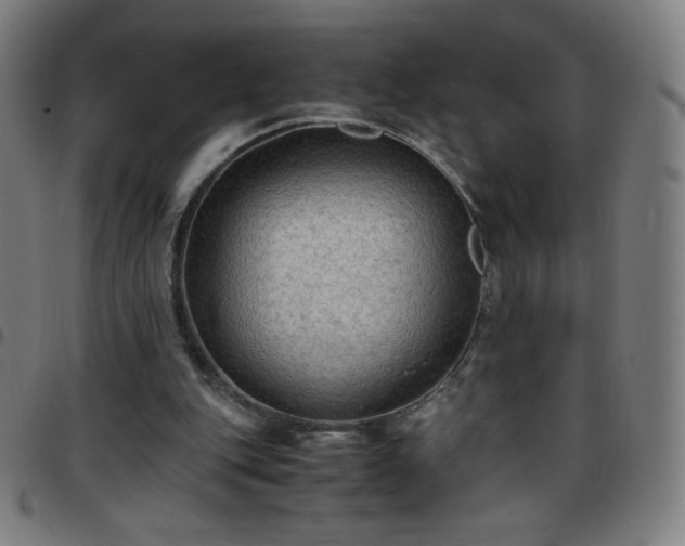X0000097660151200803071540