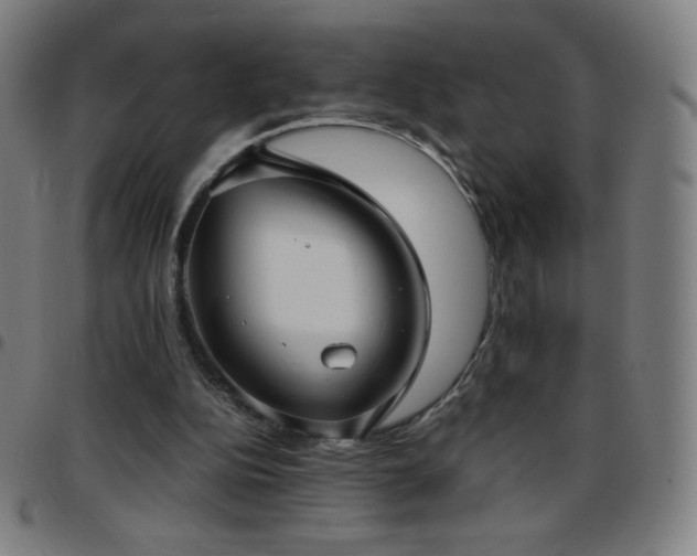 X0000097660152200803071540