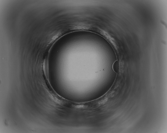 X0000097660153200803071540
