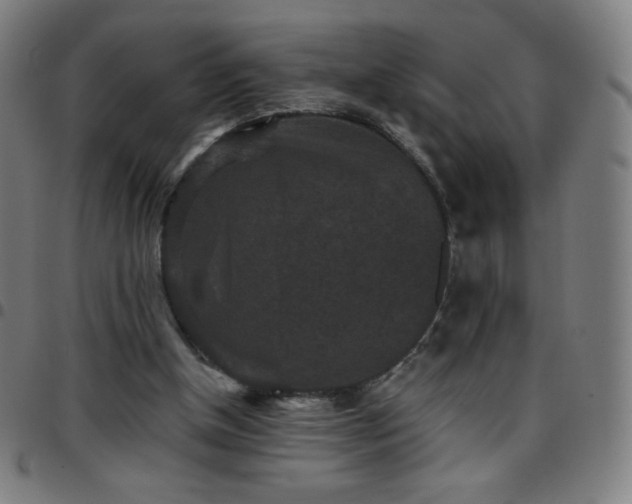 X0000097660154200803071540