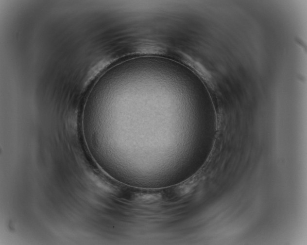 X0000097660155200803071540
