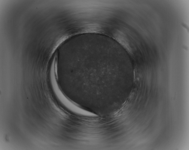 X0000097660156200803071540