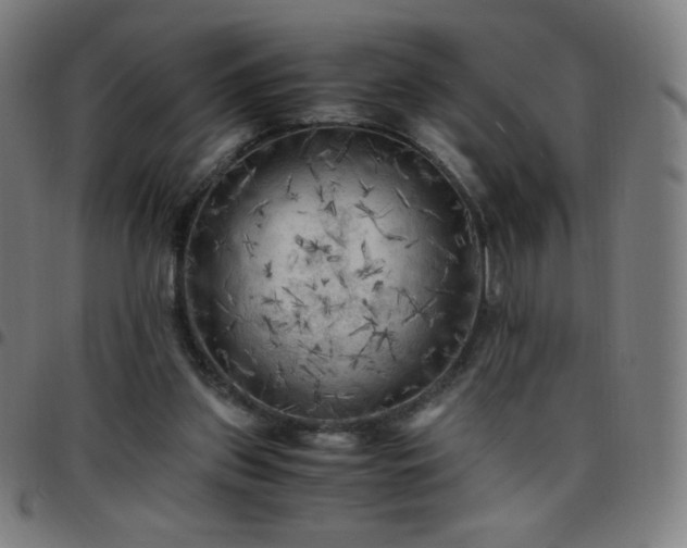 X0000097660157200803071540
