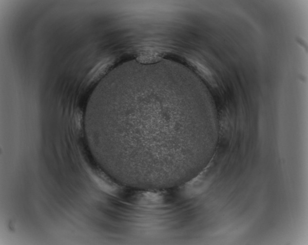 X0000097660166200803071540