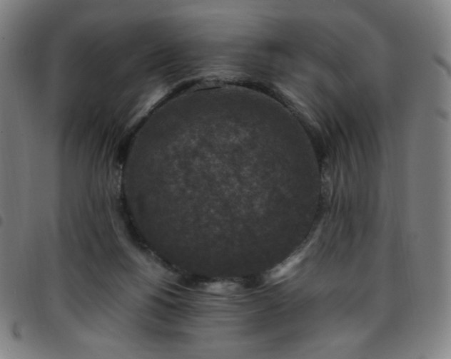 X0000097660168200803071541
