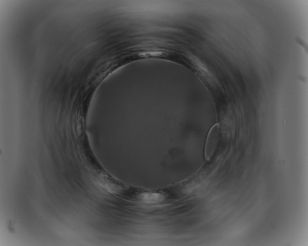 X0000097660169200803071541