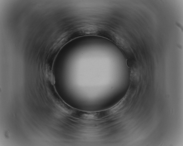 X0000097660170200803071541