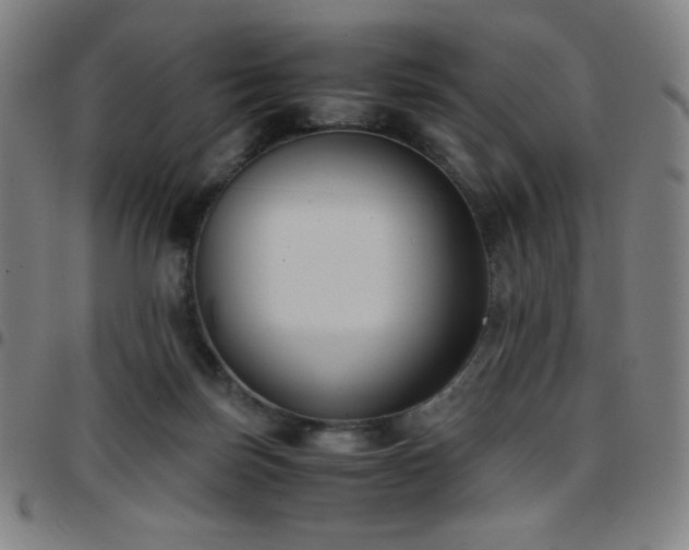 X0000097660171200803071541