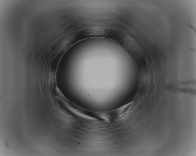 X0000097660172200803071541