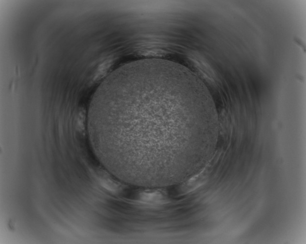 X0000097660175200803071541