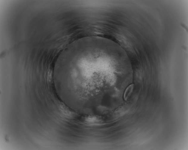 X0000097660177200803071541