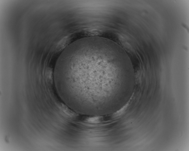 X0000097660178200803071541