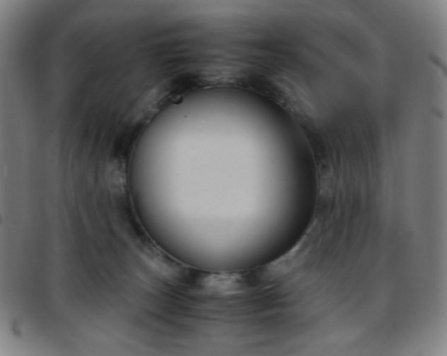 X0000097660179200803071541