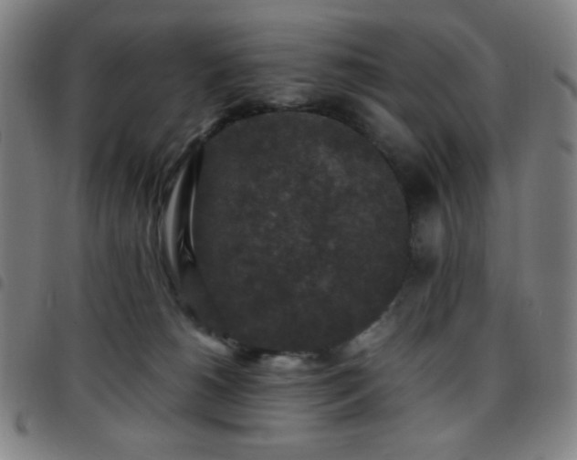 X0000097660180200803071541