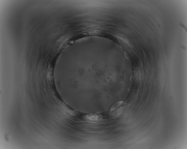X0000097660181200803071541