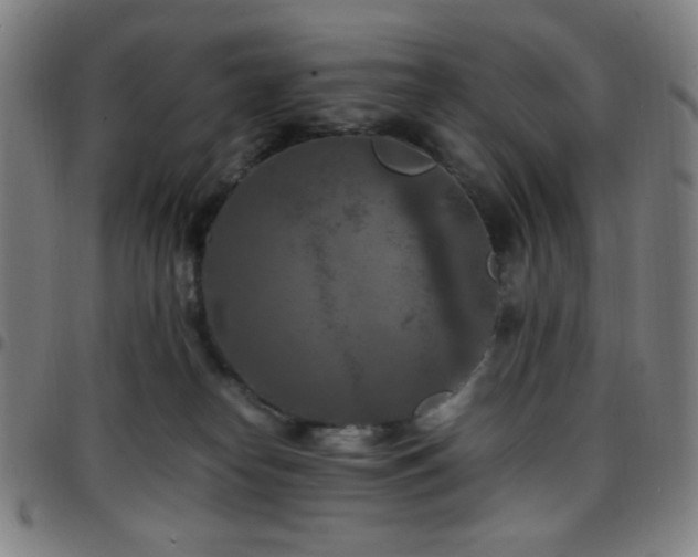 X0000097660182200803071541