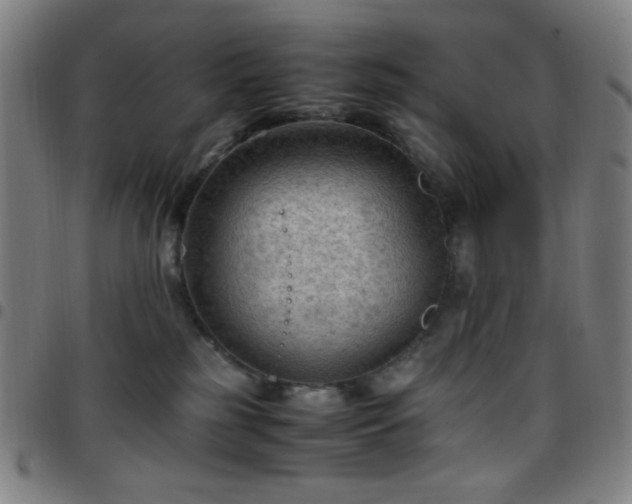 X0000097660185200803071541