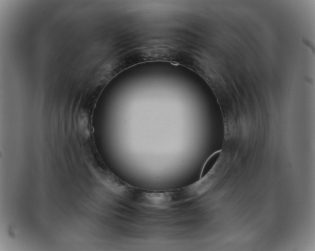 X0000097660187200803071541
