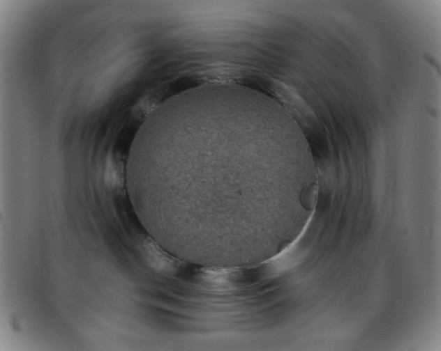 X0000097660190200803071541