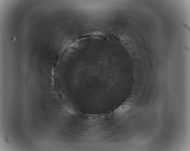 X0000097660192200803071541