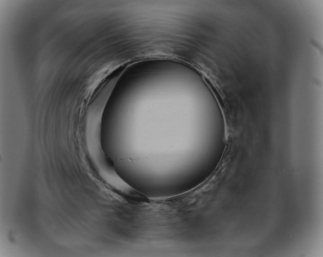 X0000097660193200803071540