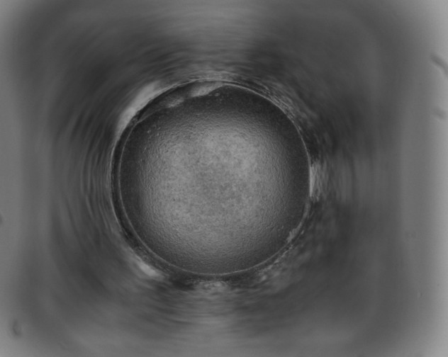 X0000097660195200803071540