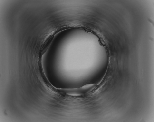 X0000097660201200803071540